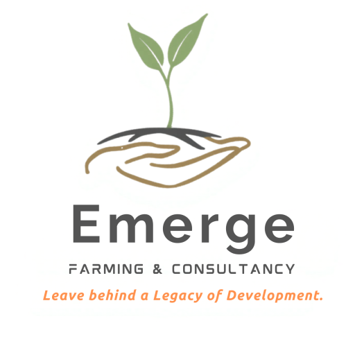 Emerge Farming & Consultancy